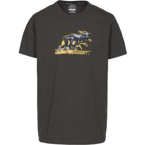 Trespass - Heren Fastest T-Shirt (Bruin)