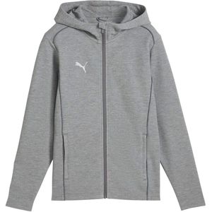 Puma Heren TeamFINAL Casuals Hooded Jacket (Grijs)