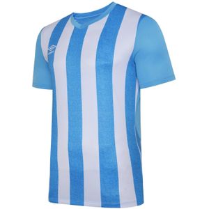 Umbro Kinderen/Kinderen Ramones Jersey (Hemelsblauw/Wit)