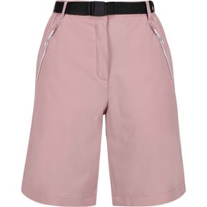 Regatta Dames/Dames Xert Stretch Shorts (Schemerige roos)