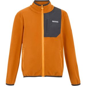 Regatta Kinder/Kids Frankie Full Zip Fleecejack (Fox)