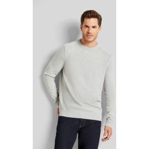 Lichtgrijs - Trui - Regular Fit - Lange Mouwen - Ronde Hals