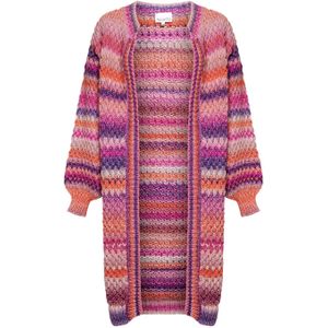 Gio gebreide cardigan in veelkleurig