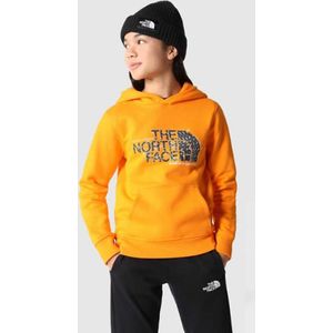 The North Face - Kids Drew Peak - Hoodie - Oranje