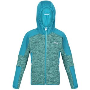 Regatta Kinder/Kids Dissolver V Fleece (Turquoise/Email) - Maat 3-4J / 98-104cm