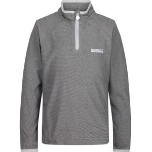 Regatta Kinderen/Kinderen Loco Fleece (Licht staal/staalgrijs)