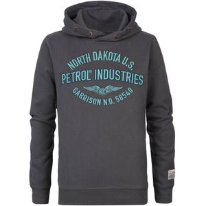 Petrol Industries - Jongens Artwork Hoodie Schaumburg - Grijs