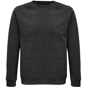 SOLS Unisex Adult Space Organic Raglan Sweatshirt (Houtskool mergel)