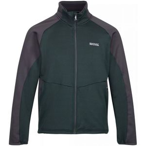Regatta Heren Highton III Full Zip Fleece Jacket (Groene puntgevel/donkergrijs)