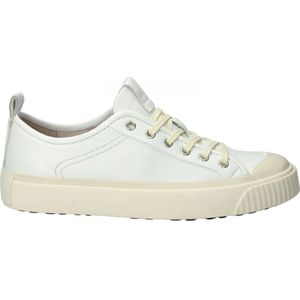 Zoey low - White - Sneaker (low)