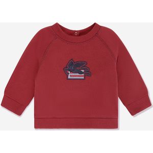 Etro Baby Jongens Pegaso Logo Sweatshirt in Rood