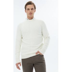 Gebreide trui met ronde hals en patroon