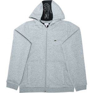 Boy's Lacoste Colourblock Fleece Sweatshirt in Grey Heather