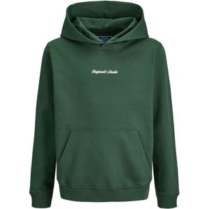 Jack & Jones - Norrebro - Sweatshirt - Donkergroen - Capuchon