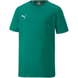 Puma Kinderen TeamGoal 23 Casuals T-shirt (Groen)