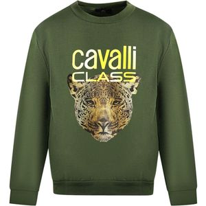 Leopard Head - CA28857 - Hoodie - Groen - Sweater