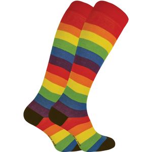 Set van 2 kniehoge bamboesokken met patroon voor dames - Regenboog