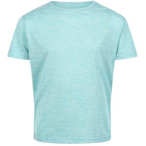Regatta Kinderen/Kinderen Fingal T-shirt (Turquoise)