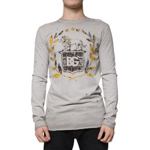 Versleten Leeuwenschild Langemouwen T-shirt