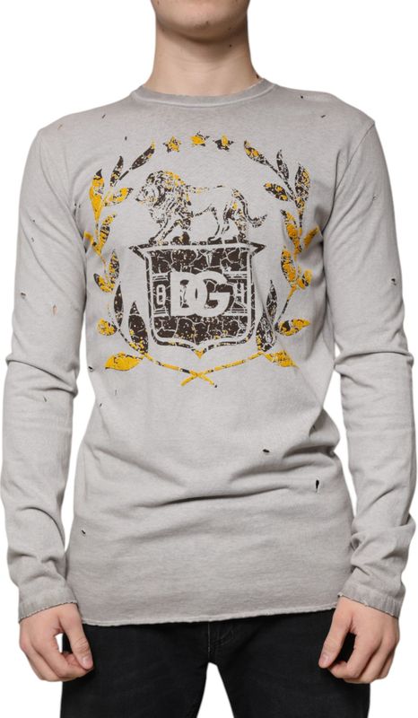 Versleten Leeuwenschild Langemouwen T-shirt