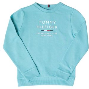 Boy's Tommy Hilfiger Logo Crew Neck Sweatshirt in Turquoise