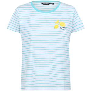 Regatta Dames/dames Odalis Stripe T-shirt (Zeegezicht)