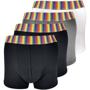 Set van 4 katoenen nieuwigheidsboxershorts voor heren - Regenboog