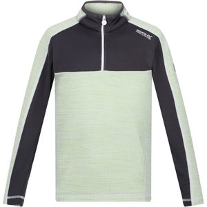 Regatta Kinderen/Kinderen Hewley Recycled Half Zip Fleece Top (Stil Groen/Grijs)