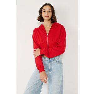 Sweat à capuche zippé