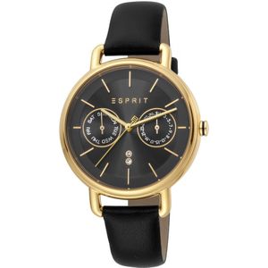 Esprit Watch ES1L179L0045