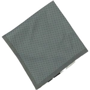 Boss Heren Zijden Zakdoekje met Logo (Groen)