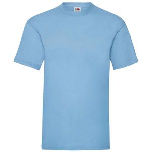 Fruit of the Loom Heren Valueweight T-Shirt (Sky)