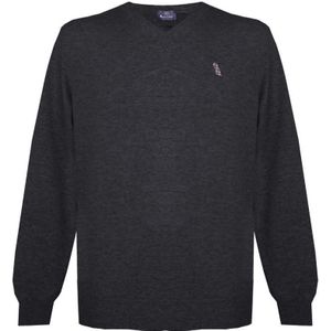Aquascutum heren lange mouwen / v-hals knitwear jumper met logo in zwart