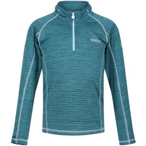 Regatta Kinderen/Kinderen Berley Half Zip Top Met Lange Mouwen (Pagode Blauw) - Maat 13J / 158cm