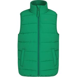 Mountain Warehouse Kinder/Kinder Rocko Gewatteerd Gilet (Groen)