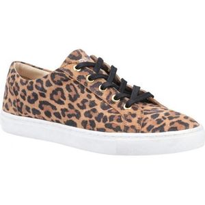 Hush Puppies Dames/dames Tessa Luipaardprint Leren Trainers (Bruin/zwart)