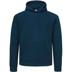 Fruit of the Loom katoenen herenhoodie (Blauw in de bergen)