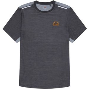 Ellesse Heren Palestrani T-Shirt (Donkergrijs)