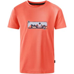 Dare 2B Kinderen/Kinderen Amuse II Aap T-Shirt (Perzikbloesem)