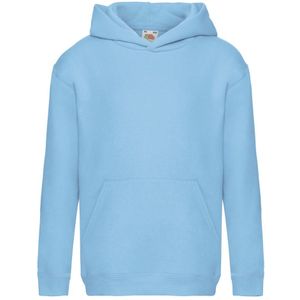 Fruit of the Loom Sweatshirt met capuchon voor kinderen/Kinderen (Hemelsblauw)