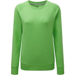 Russell Dames/dames HD Raglan Sweatshirt (Groene mergel)