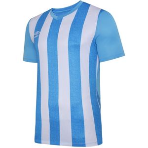 Umbro Kinderen/Kinderen Ramone Jersey (Hemelsblauw/Wit)