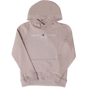 Boy's Tommy Hilfiger TH Established Essential Logo Hoody In Stone - Maat 5J / 110cm