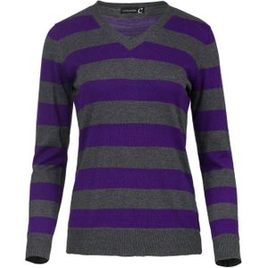 Trui - Gestreept - Lange Mouwen - V-hals