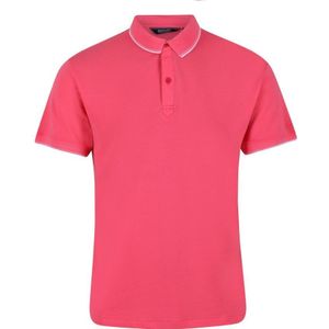 Regatta Heren Tadeo Polo Shirt (Tropisch Roze) - Maat 2XL