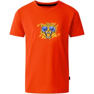 Dare 2B Kinderen/Kinderen Amuse II Tijger T-shirt (Sevilla Rood)