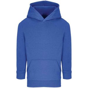 SOLS Kinderen/Kinderen Connor Hoodie (Koningsblauw)