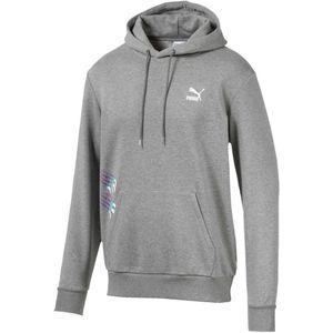 Puma - Claw Pack - Hoody - Grijs - Lange Mouw - Heren Trui - Katoen