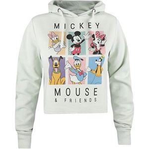 Disney Dames/dames 90´s Friends Geknipte Hoodie (Salie) - Maat M