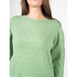 Silvian Heach - Ronde Hals Truien - Groen - Dames - Polyester